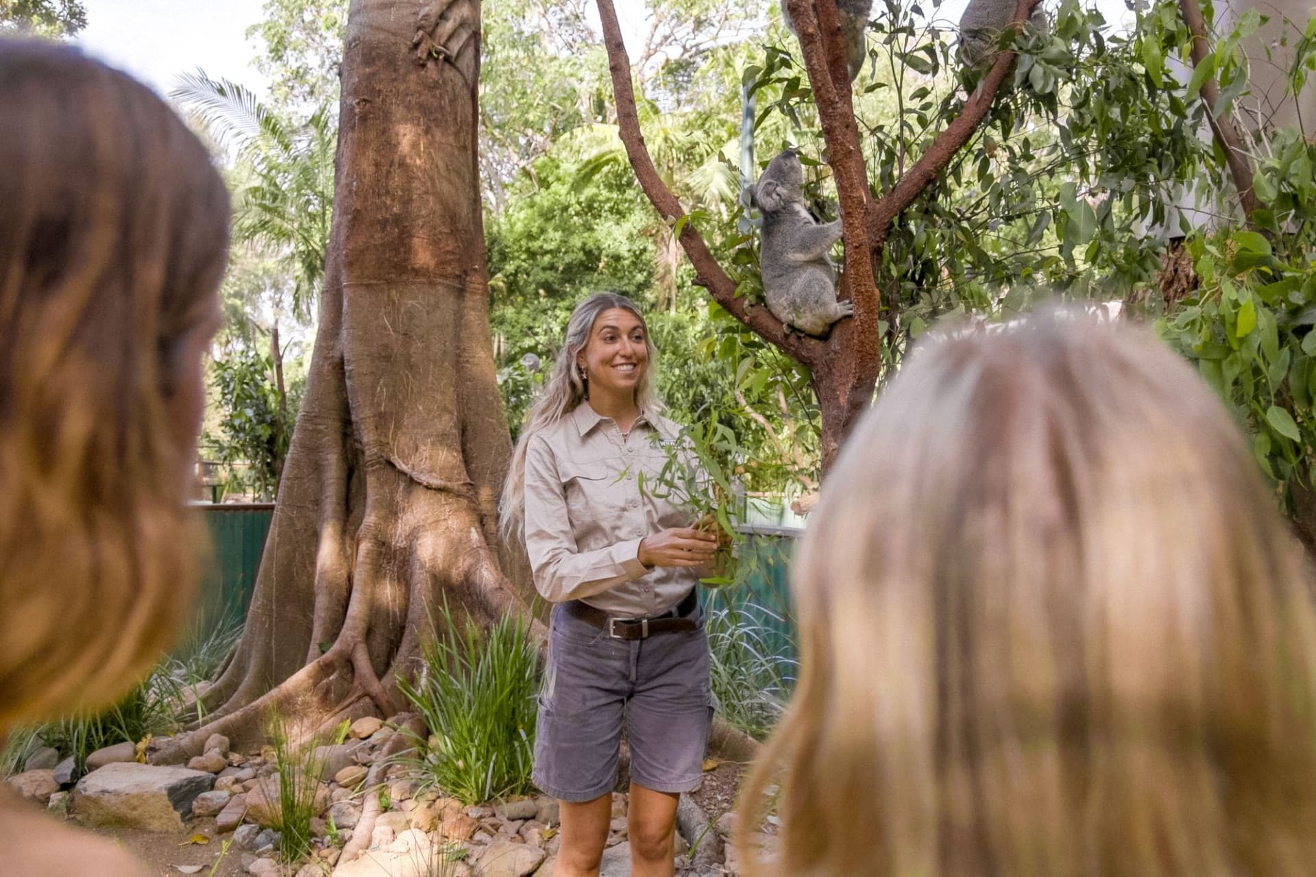 Билет в Currumbin Wildlife Sanctuary на Голд-Косте, фото 7